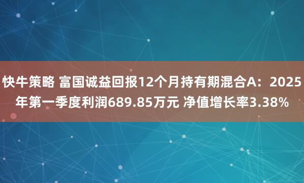 快牛策略 富国诚益回报12个月持有期混合A：2025年第一季度利润689.85万元 净值增长率3.38%