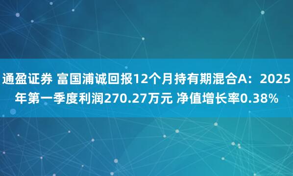 通盈证券 富国浦诚回报12个月持有期混合A：2025年第一季度利润270.27万元 净值增长率0.38%
