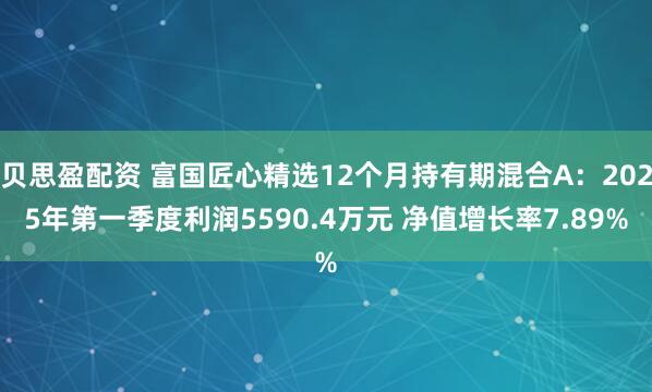 贝思盈配资 富国匠心精选12个月持有期混合A：2025年第一季度利润5590.4万元 净值增长率7.89%