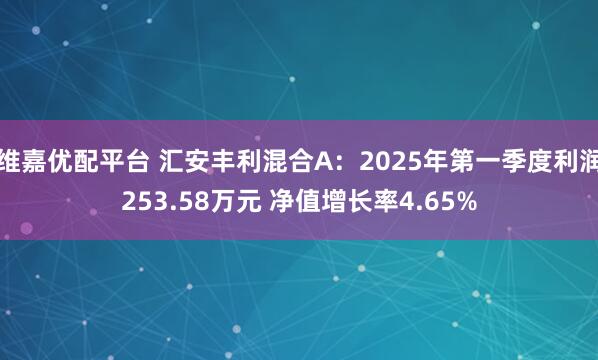 维嘉优配平台 汇安丰利混合A：2025年第一季度利润253.58万元 净值增长率4.65%