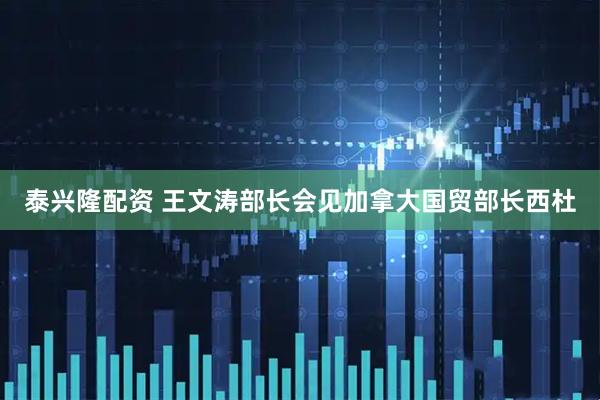 泰兴隆配资 王文涛部长会见加拿大国贸部长西杜