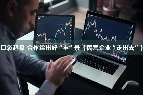 口袋超盘 合作绘出好“丰”景（民营企业“走出去”）